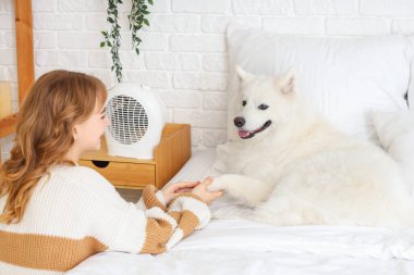 Samoyed köpeği olan genç bir kadın yatak odasındaki elektrikli fan ısıtıcısının yanında ısınıyor.