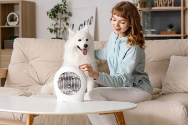 Evde elektrikli vantilatör ısıtıcısının yanında kanepede Samoyed köpeği ısıtan genç bir kadın.