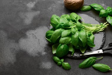 Siyah zemin üzerinde taze fesleğen ve makas olan tahta