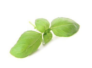 Beyaz arkaplanda taze fesleğen