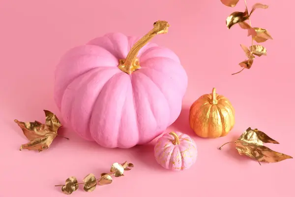 Painted pumpkins with golden leaves and eucalyptus on pink background