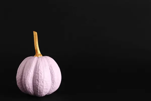 Lilac painted pumpkin on black background