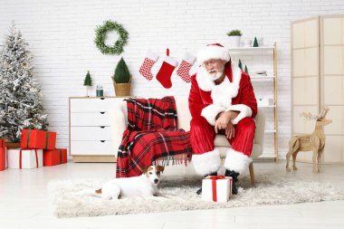 Noel Baba ve şirin Jack Russell Terrier köpeği Noel 'i evde kutluyorlar.