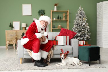 Noel Baba ve şirin Jack Russell Terrier köpeği ren geyiği boynuzlarıyla Noel 'i evde kutluyorlar.