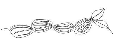 Beyaz arkaplanda buğday tohumları çiz