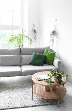 Işıl ışıl oturma odası, rahat gri kanepe ve kahve masası.