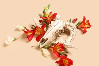 Koyun kafatası ve bej arka planda güzel çiçekler.