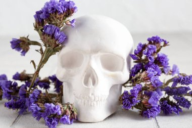 Beyaz fayans üzerinde güzel çiçekleri olan insan kafatası