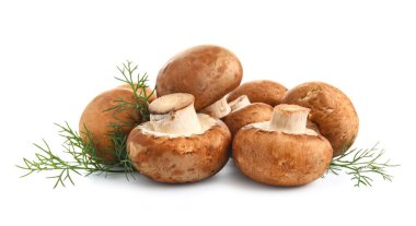 Beyaz arka planda dereotu olan çiğ şampiyon mantarları.