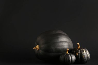 Siyah arkaplanda boyanmış balkabakları