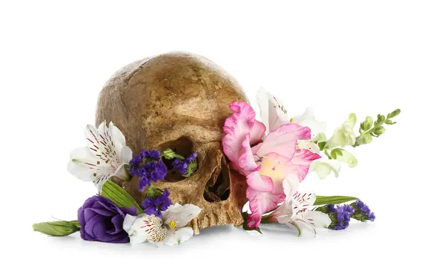 Human skull with beautiful flowers on white background