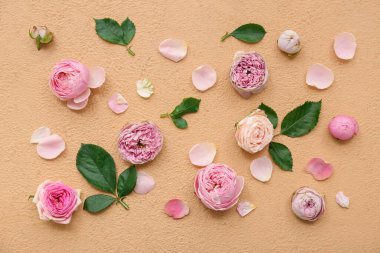 Bej arka planda yaprakları ve yaprakları olan güzel pembe güller