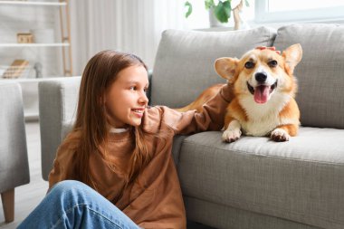 Evde Corgi köpeği olan küçük bir kız.