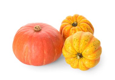 Beyaz arkaplanda farklı taze balkabakları