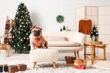 Noel arifesinde evde ren geyiği kostümlü şirin bir köpek var.