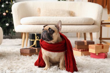 Evde eşarplı ve Noel hediyeli şirin bir köpek.
