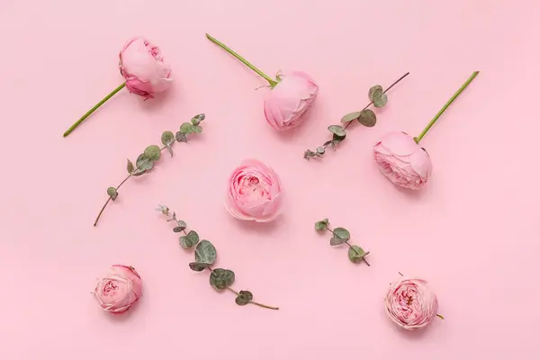 Beautiful pink roses and eucalyptus on color background