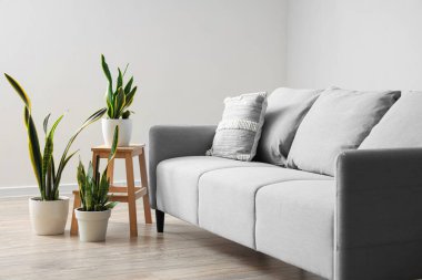 Oturma odasında bitkiler olan gri kanepe.