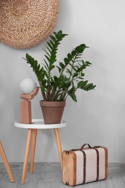 Odada dekoru olan bir bitki.