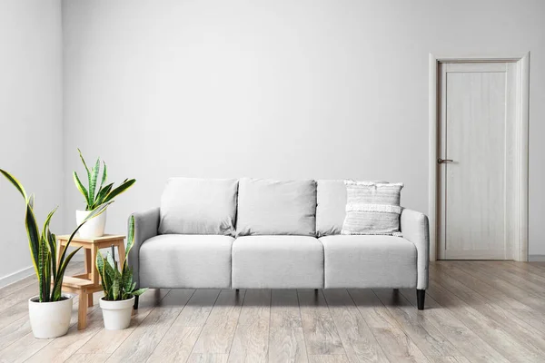 Grey sofa with plants in living room