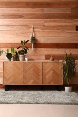 Odanın ahşap duvarının yanında saksısı olan çekmeceler.