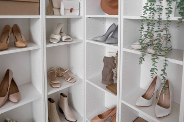 Butikte farklı şık kadın ayakkabıları ve aksesuarları olan raf ünitesi.