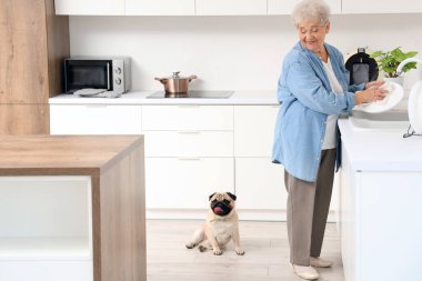 Mutfakta bulaşık yıkayan köpekli yaşlı bir kadın.