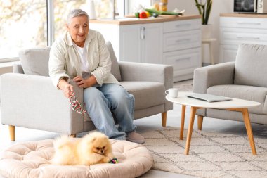 Yaşlı kadın evde Pomeranya köpeğiyle oynuyor.
