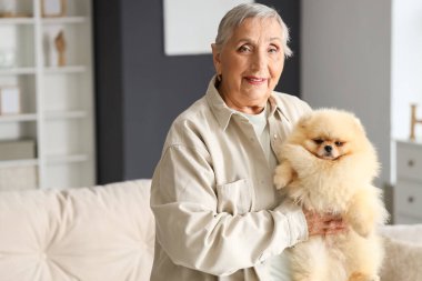 Pomeranya köpeği olan yaşlı bir kadın.