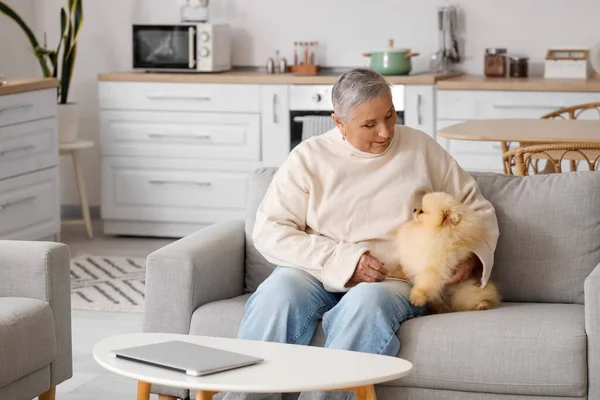 Pomeranya köpekli yaşlı kadın evdeki kanepede oturuyor.