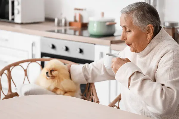 Senior woman with Pomeranian dog in kitchen