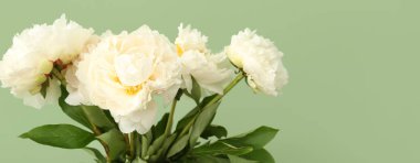 Yeşil arkaplanda beyaz şakayıklar ve metin için boşluk