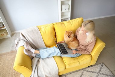Evde koltukta Pomeranya köpeği ve dizüstü bilgisayarı olan olgun bir kadın.