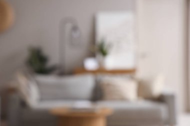 Oturma odasının içi gri kanepe ve kahve masasıyla bulanık görünüyor.