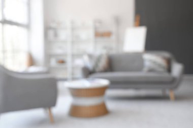 Koltuğu ve koltuğu olan oturma odasının bulanık görüntüsü