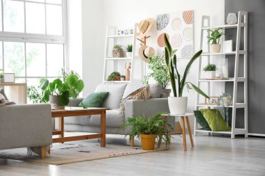 Gri kanepeli modern oturma odasının içinde.