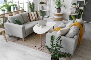 Oturma odasının içinde gri kanepeler, sehpada dizüstü bilgisayarlar ve ev bitkileri var.