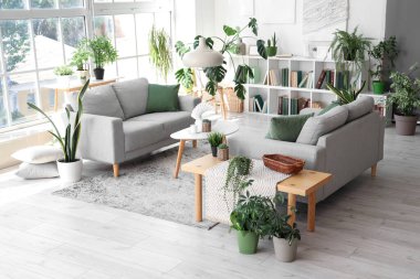 Gri kanepeleri ve çiçekleri olan modern oturma odasının içinde.