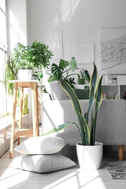 Rahat gri kanepe ve çiçeklerle aydınlık oturma odasının içinde.