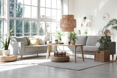 Gri kanepeleri, kahve masası ve çiçekleri olan modern oturma odasının içinde.