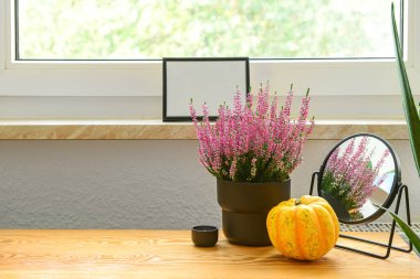 Balkabağı, funda çiçeği, kafatası ve ayna pencerenin yanındaki ahşap masada.