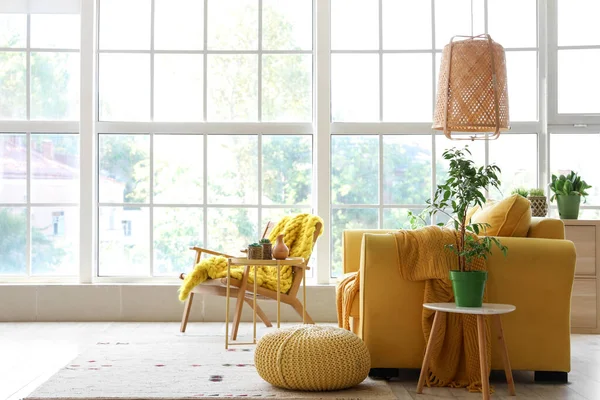 Interior of light living room with yellow sofa, armchair and houseplants