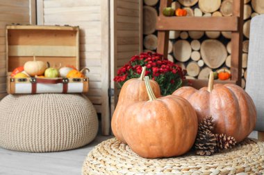 Oturma odasında balkabağı ve kozalaklı hasır puf, yakın plan.