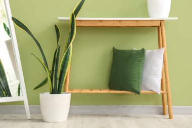 Yumuşak yastıklı konsol masası ve yeşil duvarın yanında bitkiler