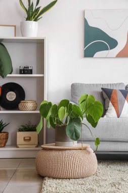 Modern oturma odasının iç tarafındaki çiçekli hasır pouf.