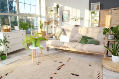 Yeşil bitkiler ve kanepe ile aydınlık oturma odasının bulanık görüntüsü