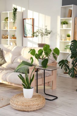 Yeşil bitkilerle, kanepelerle ve masalarla aydınlık oturma odasının içinde.