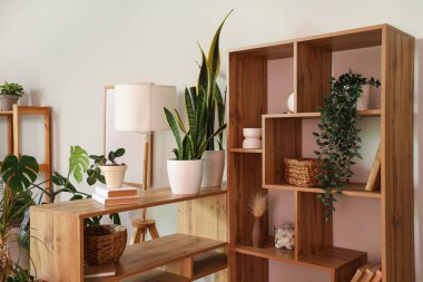 Oturma odasında yeşil bitkiler olan raflar.