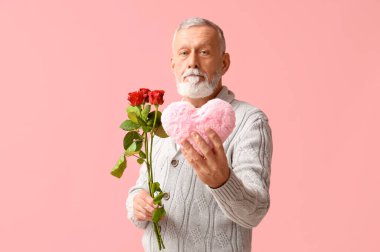 Gül çiçekleri ve pembe arka planda dokuma kalbi olan olgun bir adam. Sevgililer Günü kutlaması