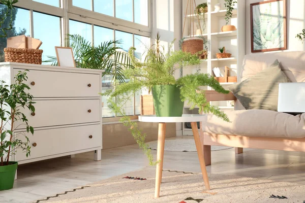 Interior of light living room with green plants, table and drawers